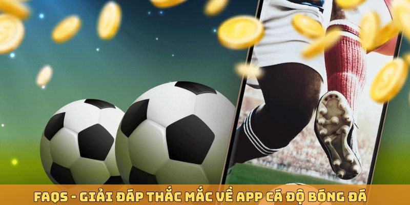 Câu hỏi thường gặp về app bóng đá mà bạn cần quan tâm